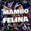 El Mambo de Felina - FVBIIAN&Alda Dj&Maiki Perreo