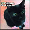 In The Heaven (Original Mix) - Ricky Montana