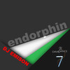 Endorphin (Original Mix) - DJ Emison