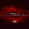 Scarlet (Nelin Remix) - Aerial Grey&NELIN