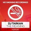 The Meaning - DJ Tarkan