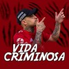 Vida Criminosa (Explicit) - Equipe Funk Favela RS&MC ip&Dj Taynã