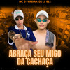 ABRAÇA SEU AMIGO DA CACHAÇA (DJ LS 011) - DJ LS 011&MC G PEREIRA