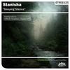 Sleeping Silence (Seraphine Remix) - Stanisha