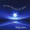 Dream of Butterflies - Billy Walsh