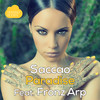Paradise (Yamil Remix) - Saccao&Fronz Arp