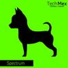 Spectrum - Alan & Passhe