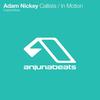 In Motion (Original Mix) - Adam Nickey