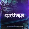 Fury Road (Terraspin Remix) - Synthaya&Terraspin&Synthaya and Terraspin