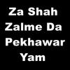 Za Shah Zalme da Pekhawar Yam - Shabnam Naseem&Kamran