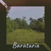 Barataria - Halfway House Orchestra