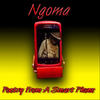 Frontin' da Script - nGomA