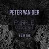 Purple - Peter Van Der