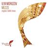 Mezzo (DelAir Remix) - Ilya Morozov