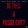 IS THIS A POSSE CUT? (feat. Sylvan Lacue, Chris Patrick, Solo Jaxon, GrandMaster Vic & Free P) (Explicit) - Gary Biddy&THE HEARD LLC&Crxssroads Music CXR&Sylvan LaCue&Chris Patrick&Solo Jaxon&Grandmaster Vic&free p