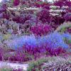Scarborough Fair/ Canticle - Simon & Garfunkel