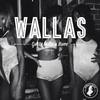 Got To Make A Move (Original Mix) - Wallas