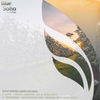 Violets (Original Mix) - Avar