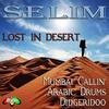 Arabic Drums (Original Mix) - Selim