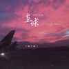 直球 - 陆子昂