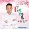 下一个春天等你 (DJ版) - 丁晓芒