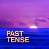 008 PAST TENSE - Flakee