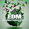 Get Back to the Funk (Dub Mix) - Sven Richards