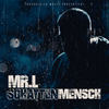Schattenmensch - Mr. L