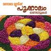 Kalyani Kalavani - Radhika Thilak