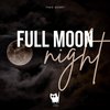 Full Moon Night - Theo Short