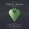 Passage for a Dream - Sable Sheep