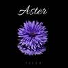 Aster - Feeza