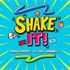 Shake It - DJ Ana&Nessa Preppy&Shemmy J