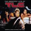 I Miss You So Much - TLC