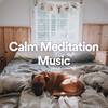 Lost Her Name - Quiet Meditation Music