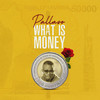 What Is Money - Pallaso