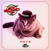 P.O.T.S. (Original Mix) - SPF 5000