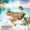 Goodbye - Nooz&Dieghito's way