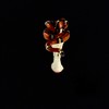 Forbidden (Explicit) - Reload