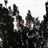 Qamikaze - Malcom Beatz