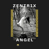 Angel - Zentrix