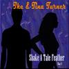 Can't Chance a Breakup - Tina Turner&Ike Turner