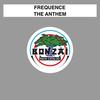 The Anthem (Yves Deruyter & DJ Vincenzo Remix) - Frequence&Yves Deruyter&DJ Vincenzo