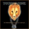 Insomnie - Young Lionz&KNLO