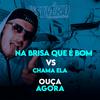 Na brisa que é bom vs Chama ela(feat. DJ Fabrício) (Explicit) - Dj Silvério&DJ FABRICIO