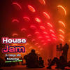 House Jam (feat. Wasted Youth Crew) (Club Mix) - Dj Mega Mix&Wasted Youth Crew