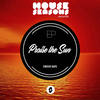 Praise The Sun (Ruzzo Remix) - Vinicius Nape