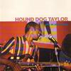 Take Five - Hound Dog Taylor