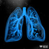 Lungs (Explicit) - XzarchiX