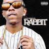 Rabbit (Explicit) - TK AntiSocial